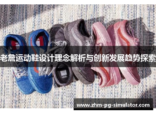 老詹运动鞋设计理念解析与创新发展趋势探索