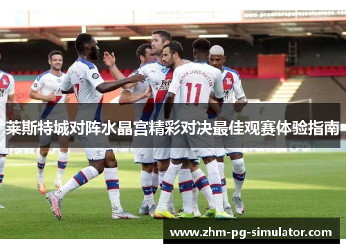 莱斯特城对阵水晶宫精彩对决最佳观赛体验指南 莱斯特城对阵水晶宫精彩对决最佳观赛体验指南