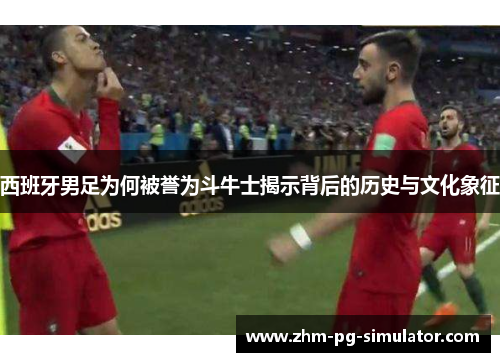 西班牙男足为何被誉为斗牛士揭示背后的历史与文化象征
