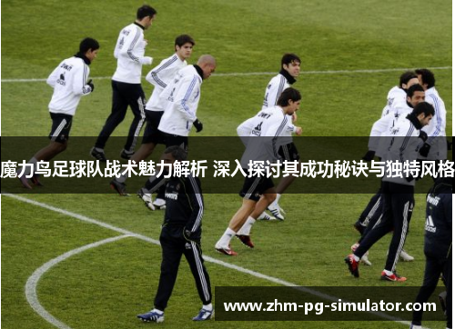 魔力鸟足球队战术魅力解析 深入探讨其成功秘诀与独特风格
